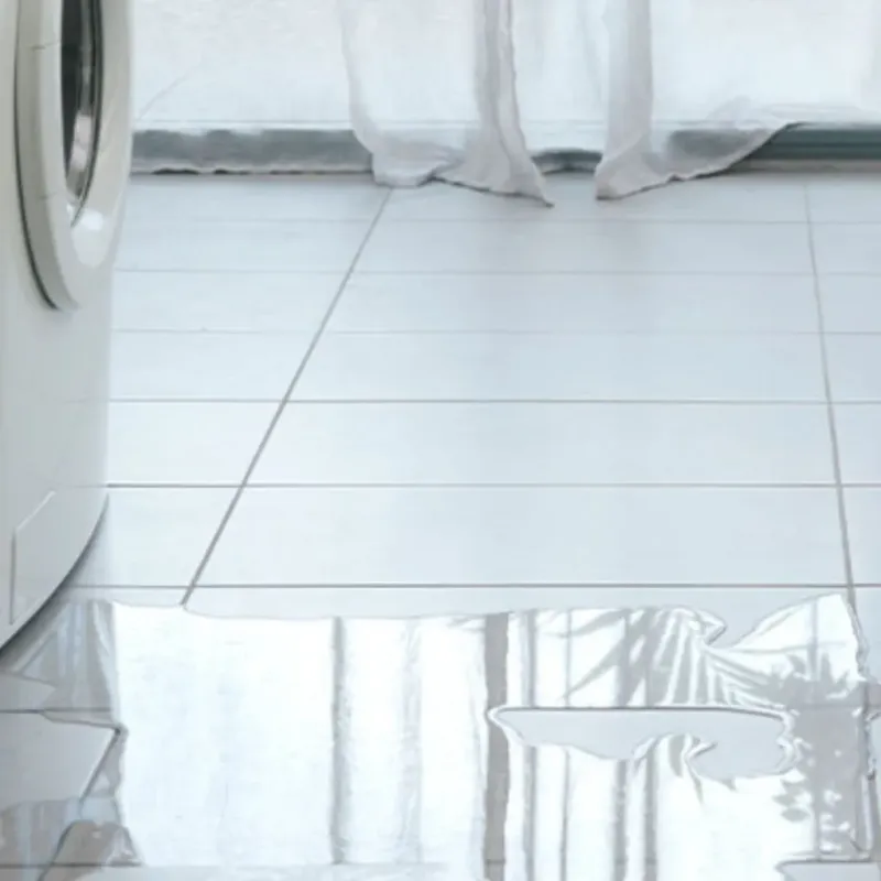 Appliance Leak Cleanup in Deer Park, WA