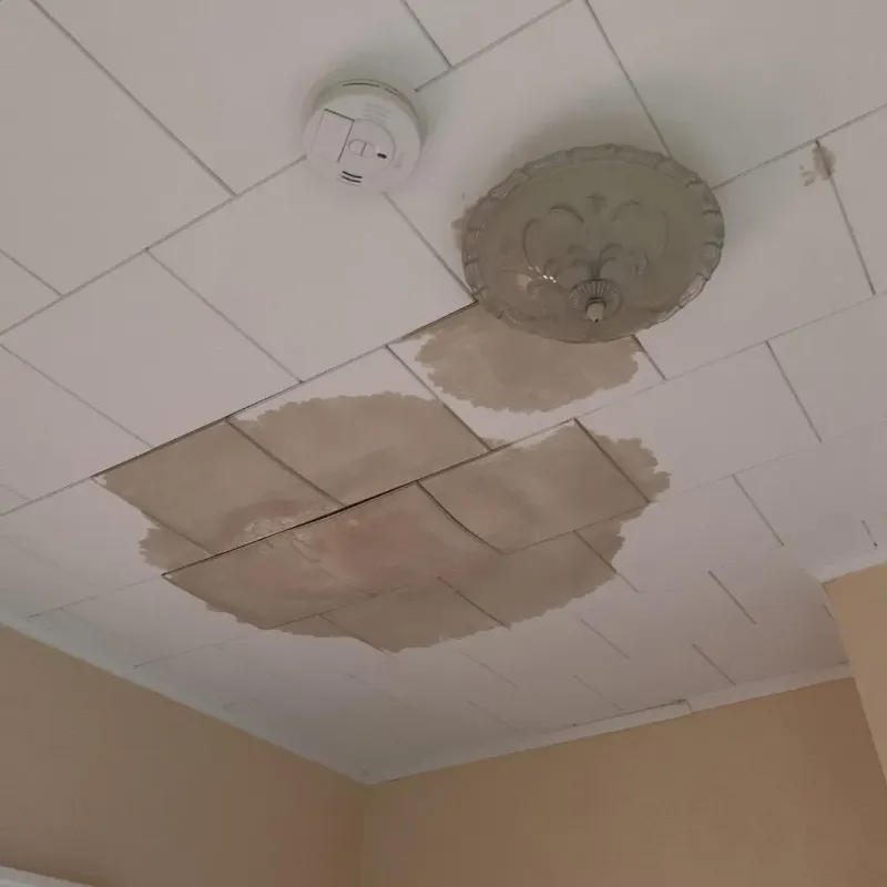 Ceiling Water Damage Repair in Deer Park, WA